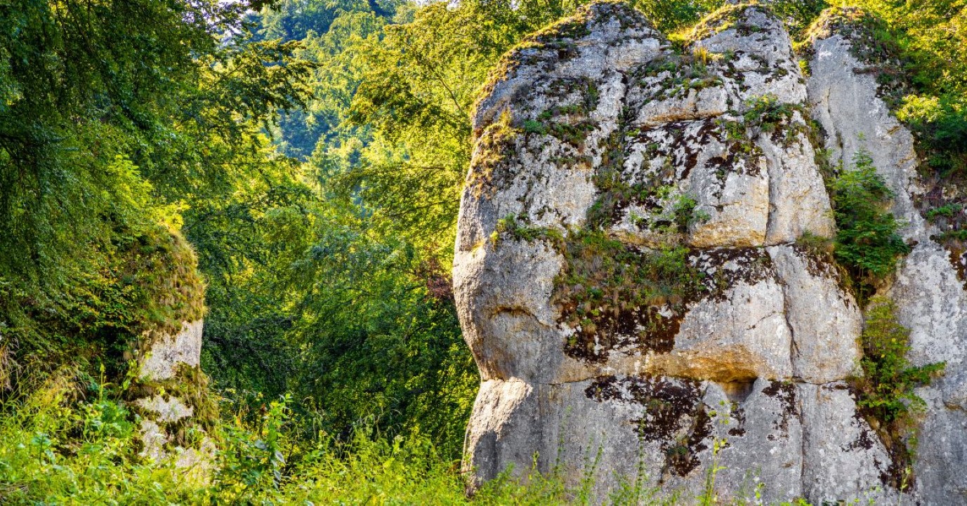 Wyżyna Kielecka: serce wyżyny Małopolskiej